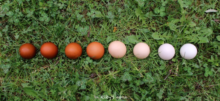 Le uova di Colombo.